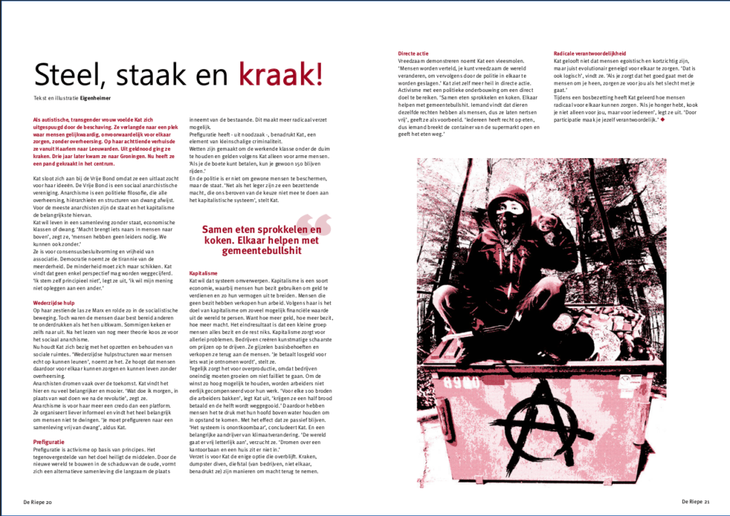 Artikel uit De Riepe met illustratie