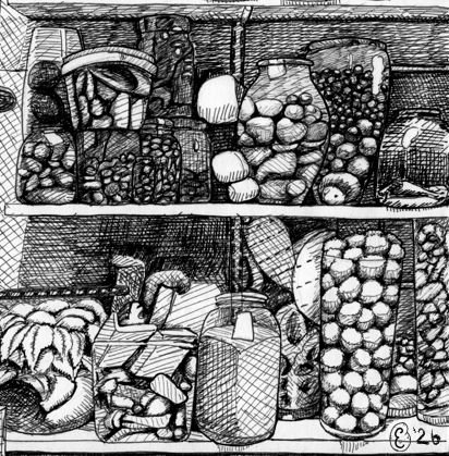 Inkttekening van planken met glazen potten gevuld met objecten